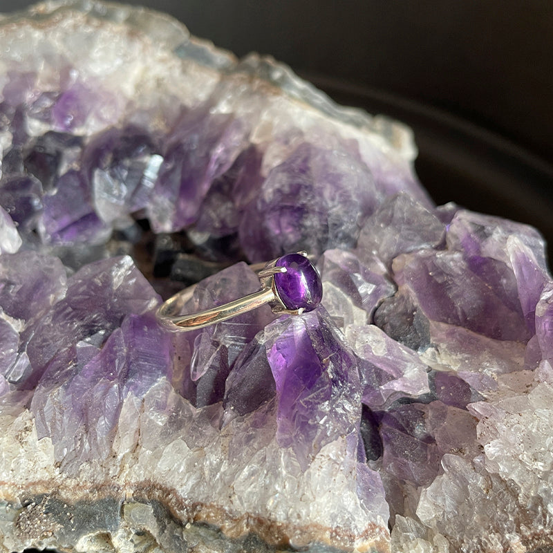 Anillo Venus