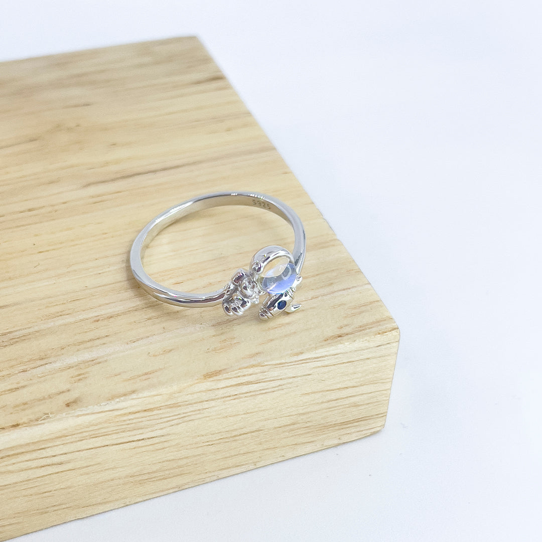 Anillo Astronauta