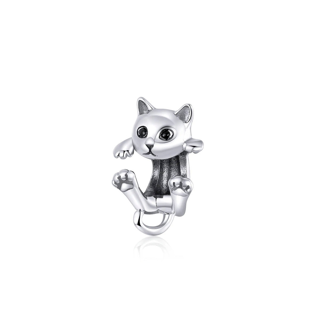Charm Gatito