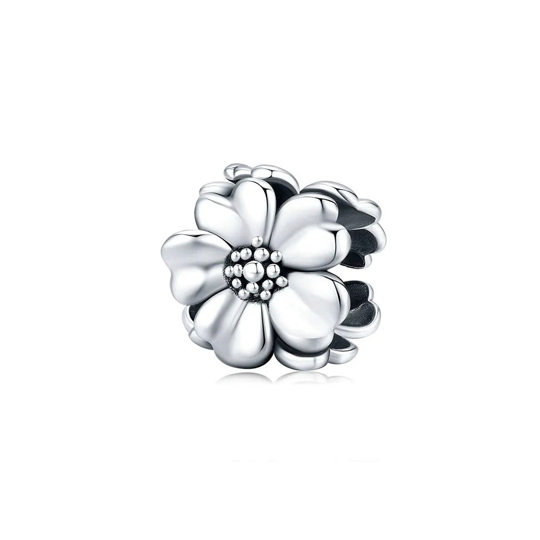 Charm Flor 01