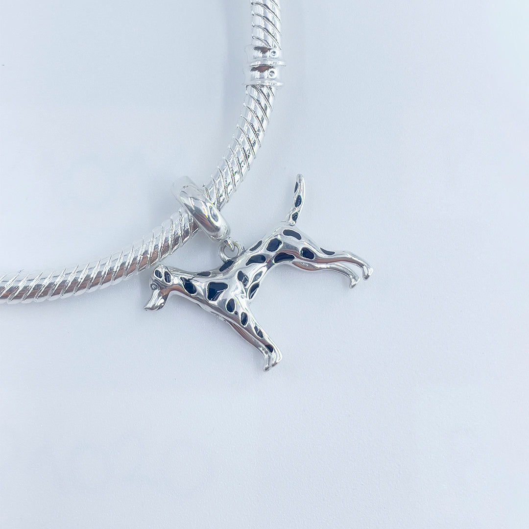 Charm Perro Dálmata