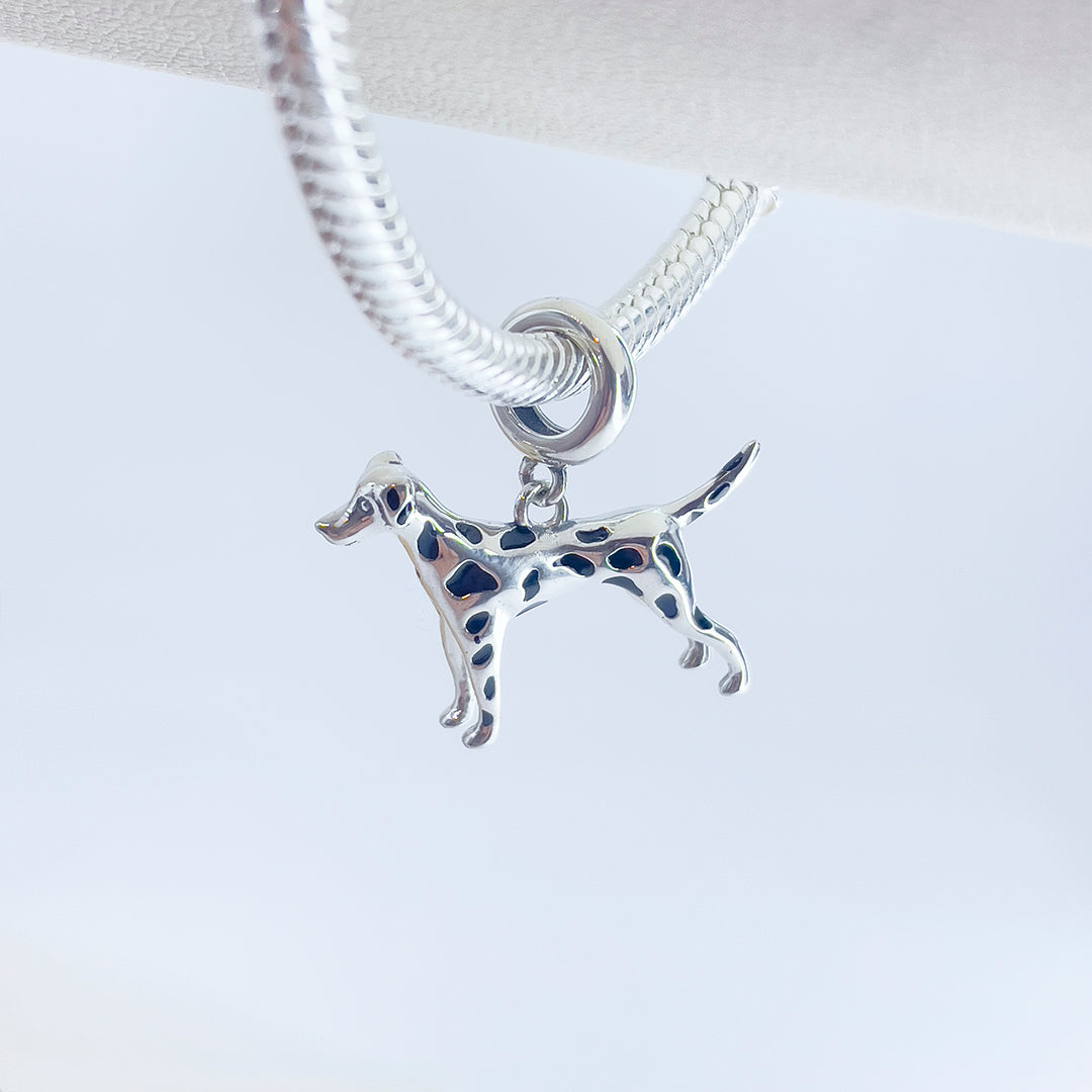 Charm Perro Dálmata