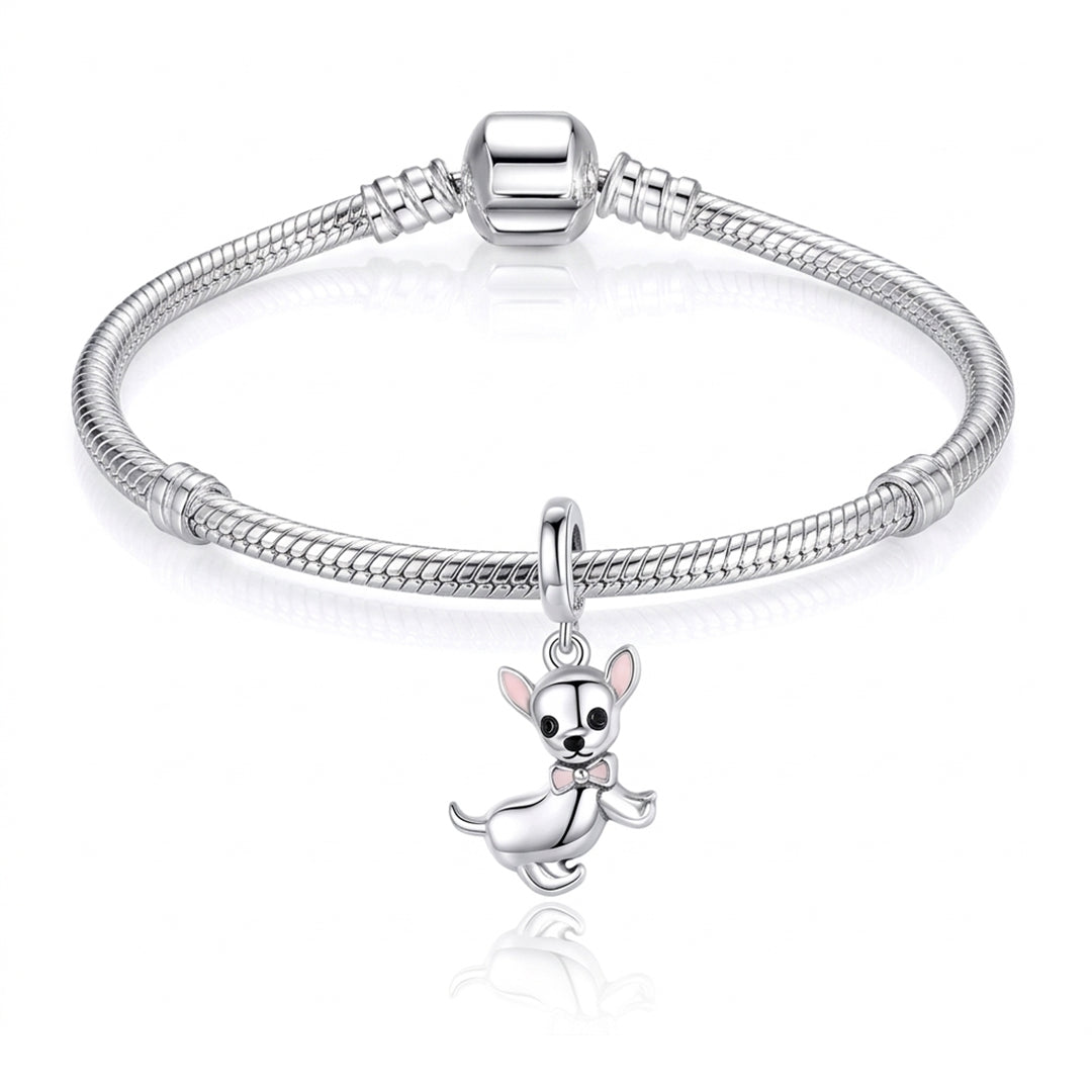 Charm Perro Chihuahua