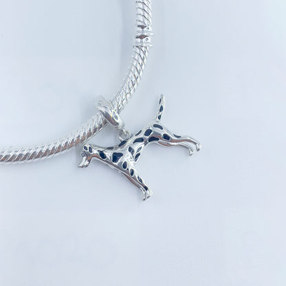 Charm Perro Dálmata