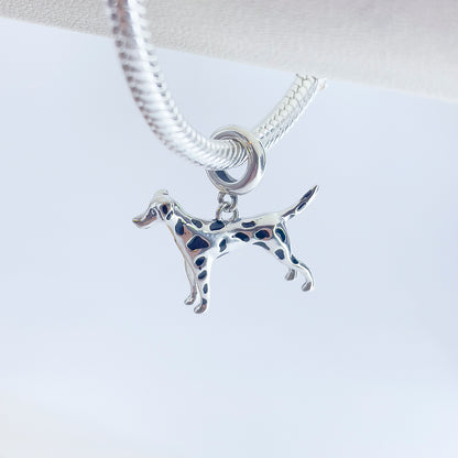 Charm Perro Dálmata