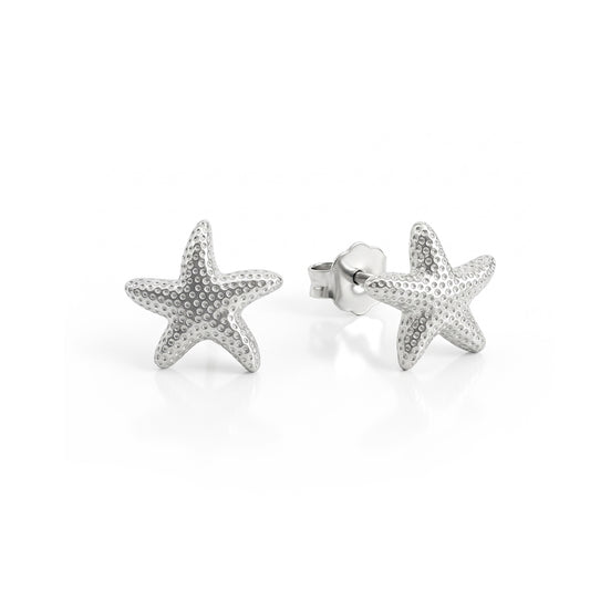 Caravanas Estrellas de Mar