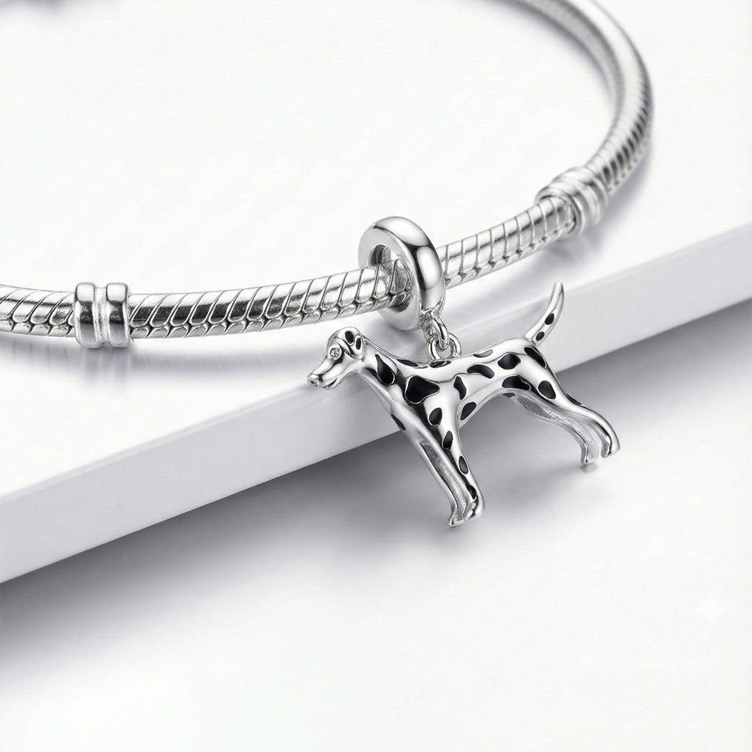 Charm Perro Dálmata