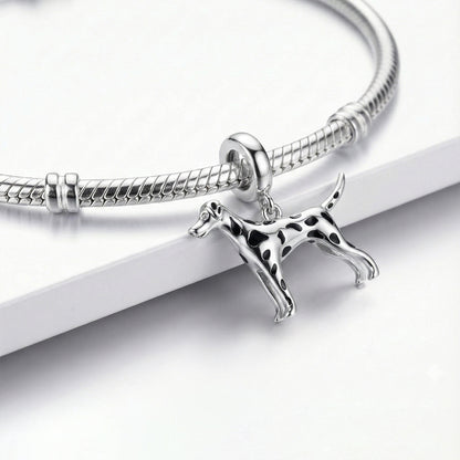 Charm Perro Dálmata