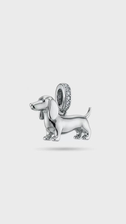 Charm Perro Salchicha